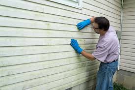 Best Aluminum Siding Installation  in Opelousas, LA